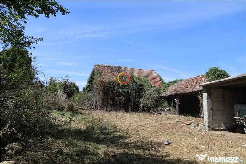 Casă cu 3 camere cu Teren 2556 Mp în Bruiu
