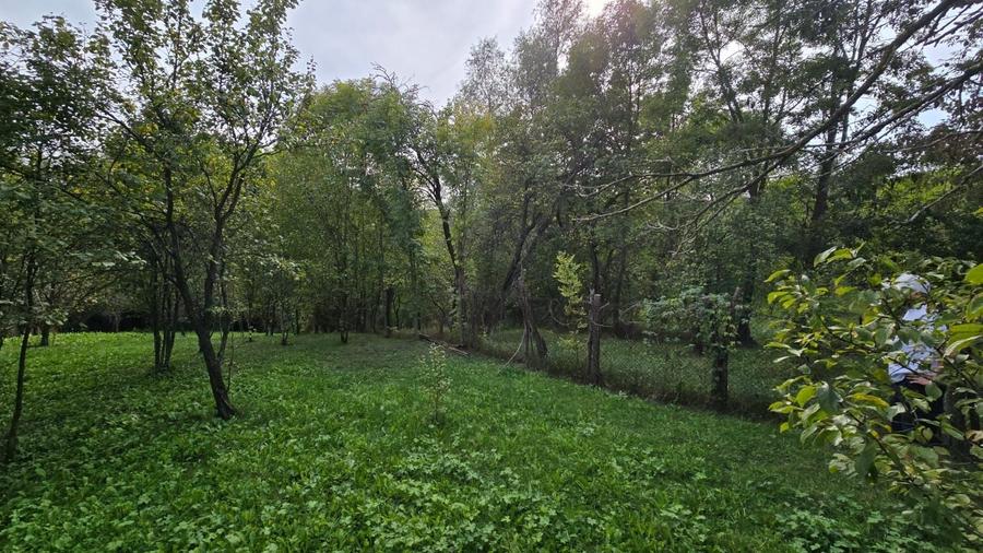 Spațiu comercial, în Breaza de Jos