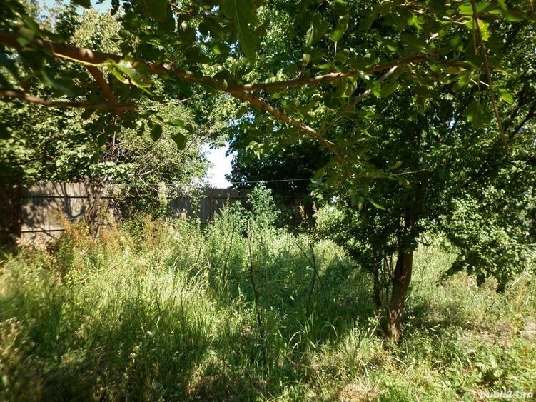 Teren de 4800 mp, în Vidra