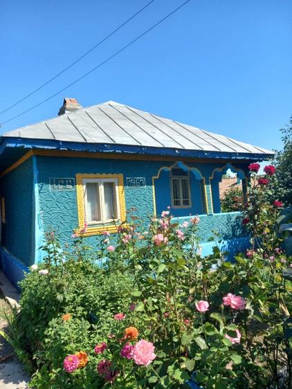 Casă individuală cu 4 camere cu Teren 3590 Mp în Colceag