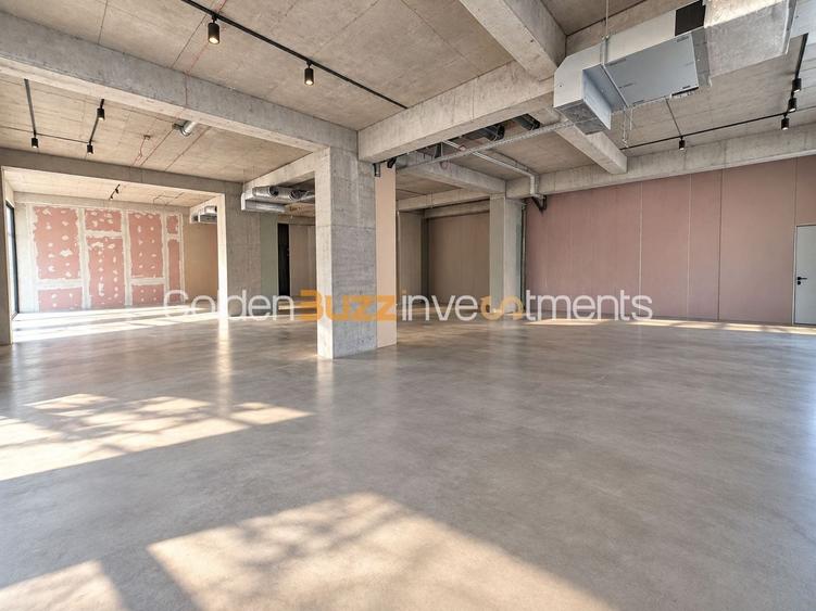 Spațiu comercial, de 370 mp, în Herăstrău