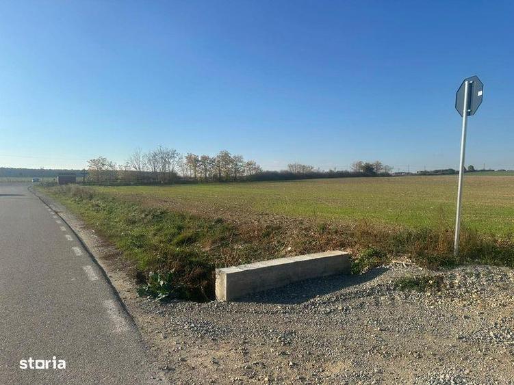 Teren de 11500 mp, în Nojorid