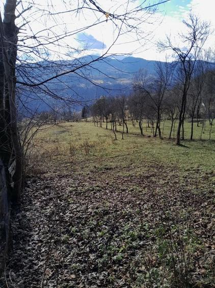 Teren de 1398 mp, în Albac