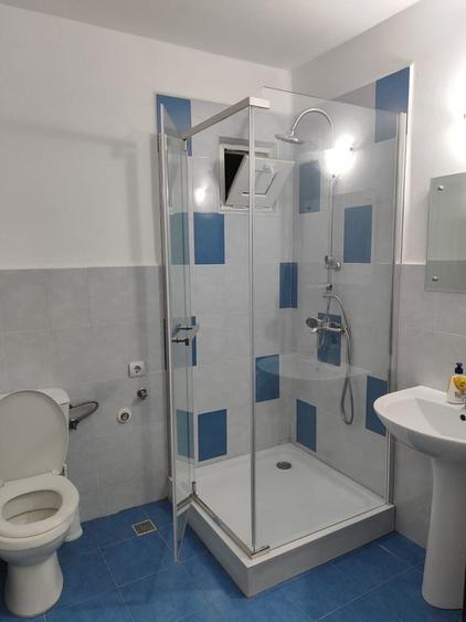 Apartament cu 3 camere în Alexandru cel Bun