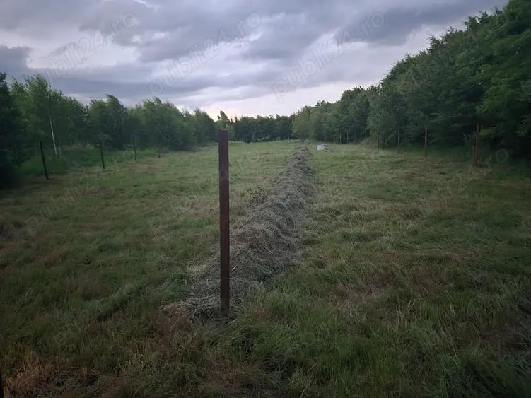 Teren de 2000 mp, în Central