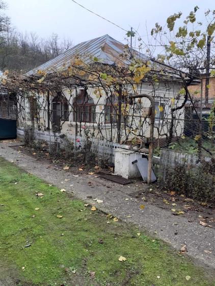 Casă cu 3 camere în Valea