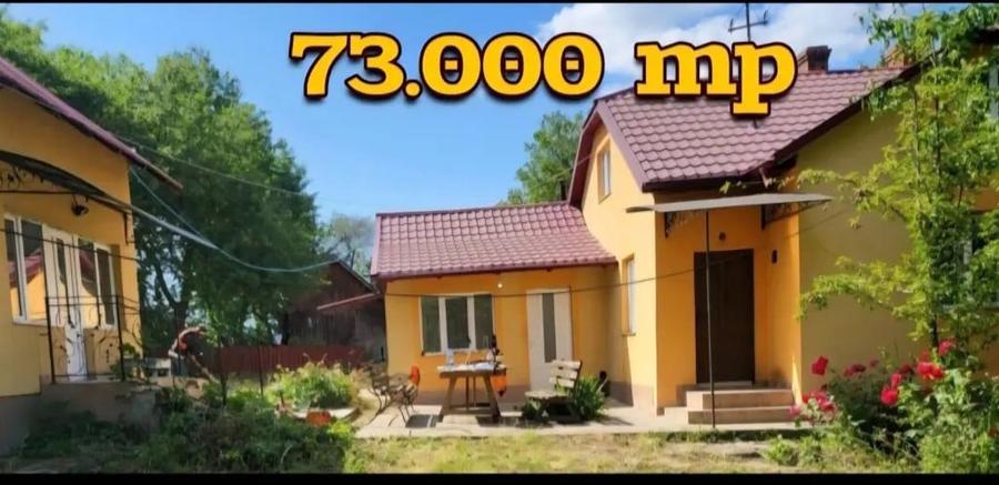 CASA cu TEREN 7.3 HECTARE Zvorastea Suceava - 2