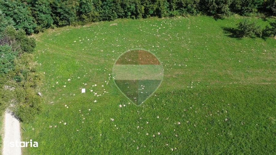 Teren 3,000mp Predelut / Strada Pe Tarina - 1