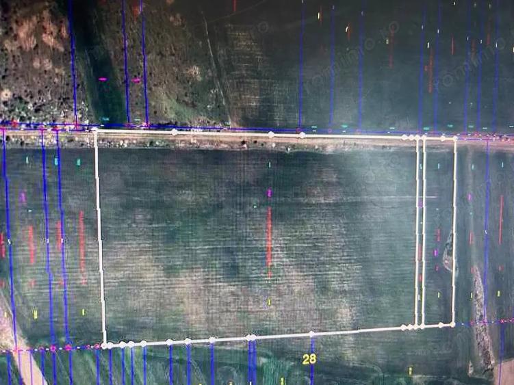 Teren de 43000 mp, în Bolintin-Deal