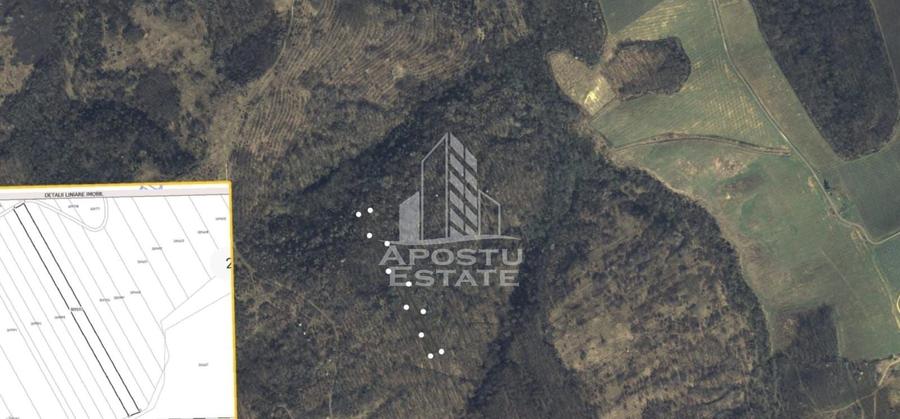 Teren agricol extravilan de 5400 mp, în Cuied
