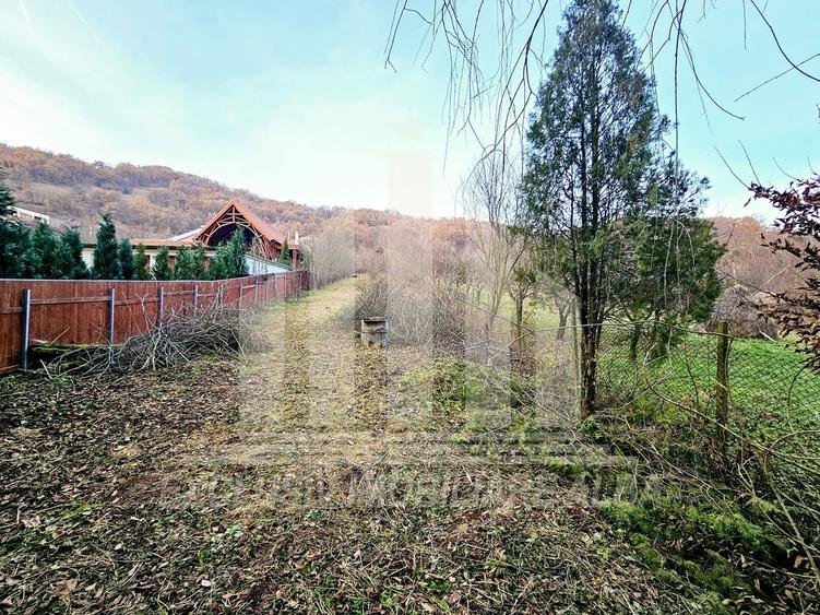 Teren Construcții intravilan de 2900 mp, în Vest