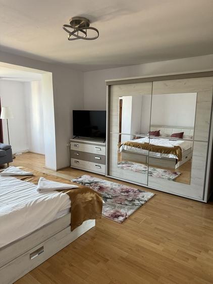 Apartament în Sub Arini