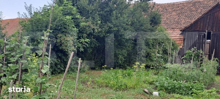 Proprietate cu farmec rural in Beclean, aproape de Fagaras - Beclean - 6