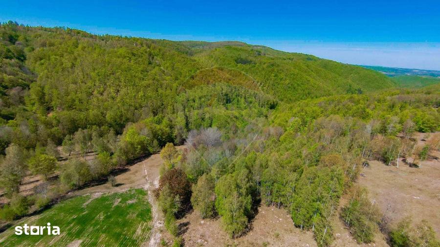 Casă cu 7 camere cu Teren 30200 Mp în Negreni