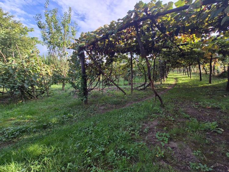 Casă cu 2 camere în Pârâu Boghii