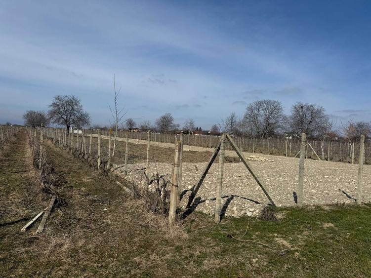 Teren de 4000 mp, în Câmpineanca