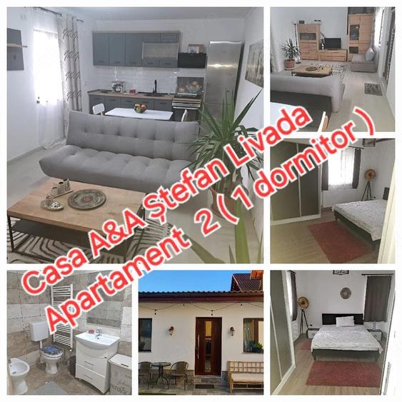 Apartament cu 2 camere decomandat în Livada