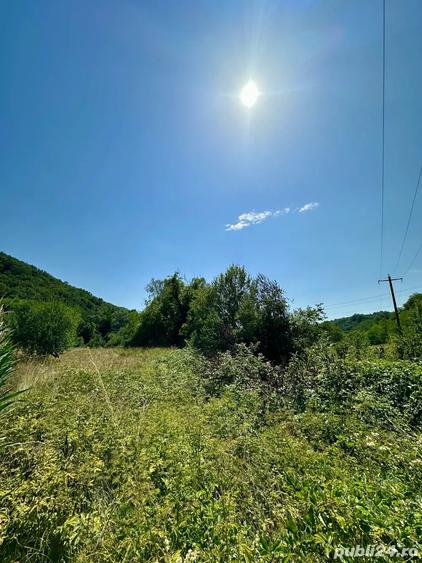 Teren de 2900 mp, în Zam