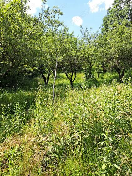 Casă cu Teren 3780 Mp în Hulubești