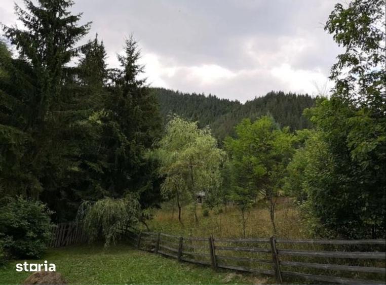 Teren cu cabana off-grid jud Harghita - 5