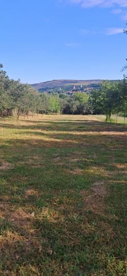 Casă cu 3 camere în Borșa