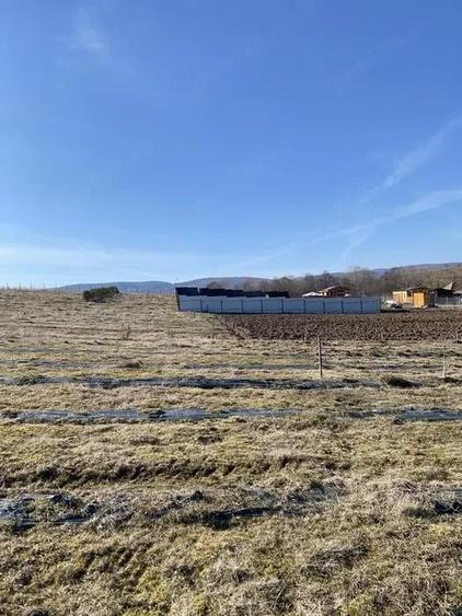 Teren extravilan de vanzare in Sfantu Gheorghe - 2