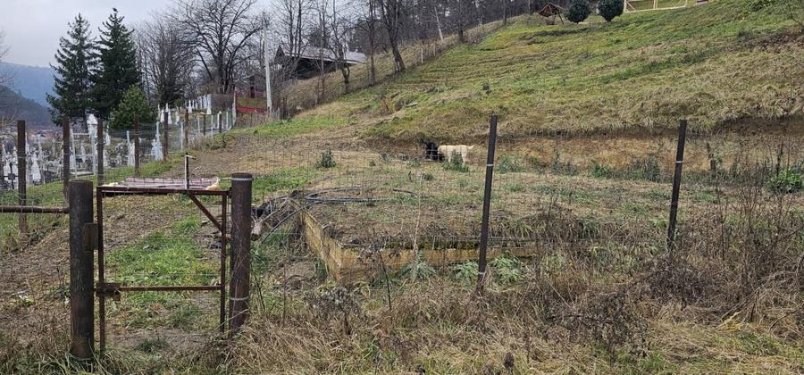 Teren Construcții intravilan de 1131 mp, în Comănești