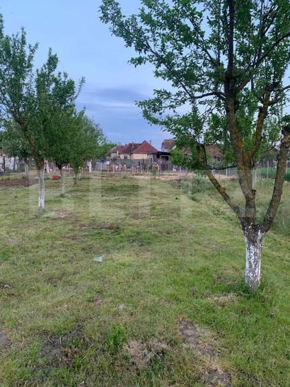 Teren Construcții intravilan de 1500 mp, în Cionchești