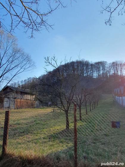 Teren de 398 mp, în Dobrotu