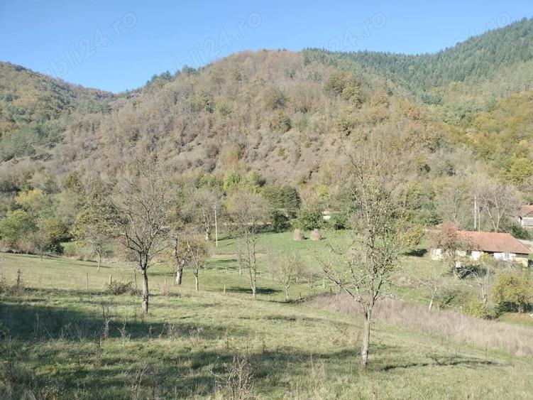 Teren de 3562 mp, în Vața de Sus