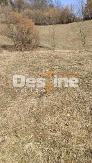 Teren agricol extravilan de 5000 mp, în Rucăr