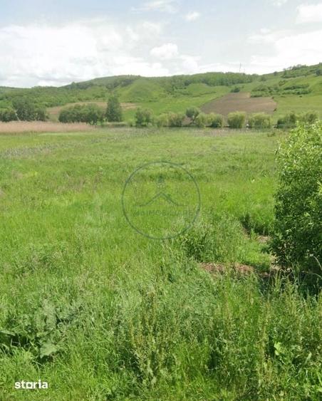 Teren de 4056 mp, în Sânmihaiu de Câmpie