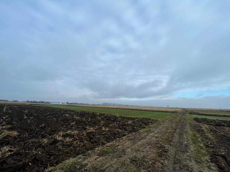 Teren agricol extravilan de 1300 mp, în Marginea
