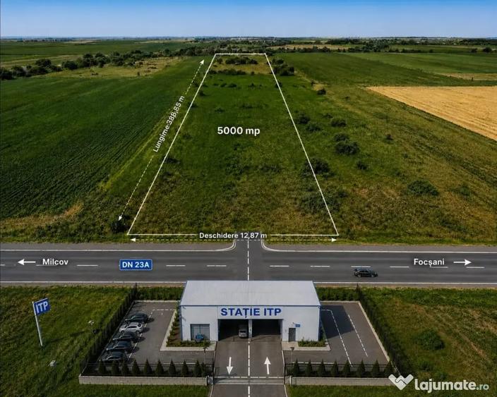 Teren de 10000 mp, în Lămotești
