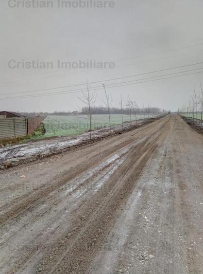 Teren intravilan de 5000 mp, în Cazasu