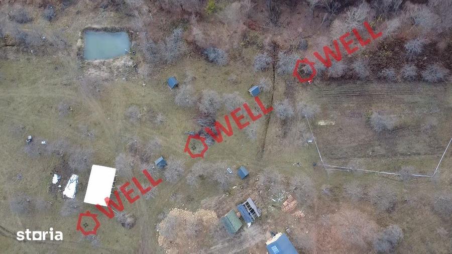 Teren extravilan de 25.274 m2 de vanzare in Calnic, langa padure! - 7