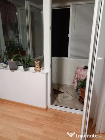 Apartament 2 camere decomandate, confort 1, zona bulevardul castanilor - 8
