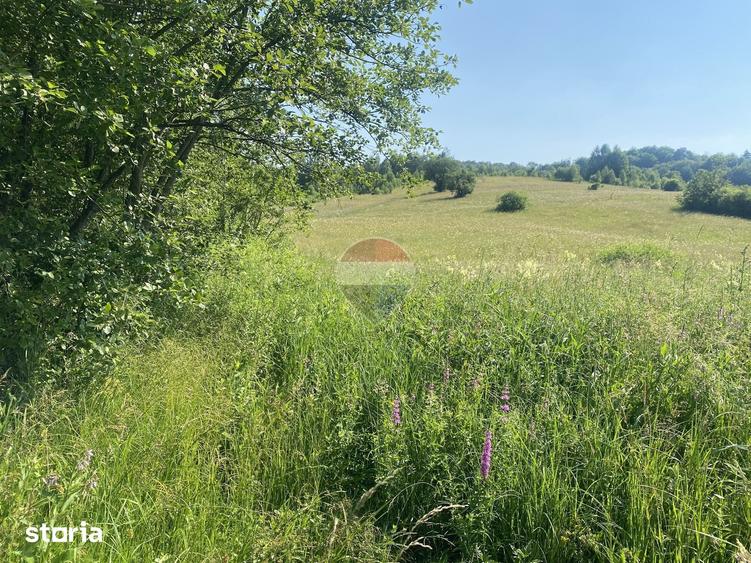 Teren de 4306 mp, în Vama Buzăului