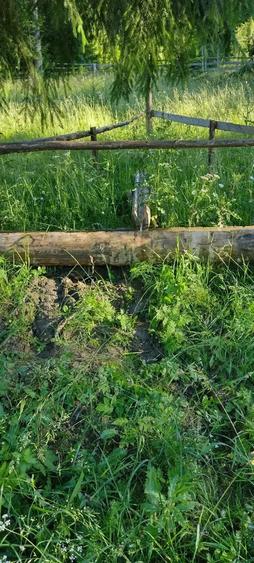 Teren de 25000 mp, în Șaru Dornei