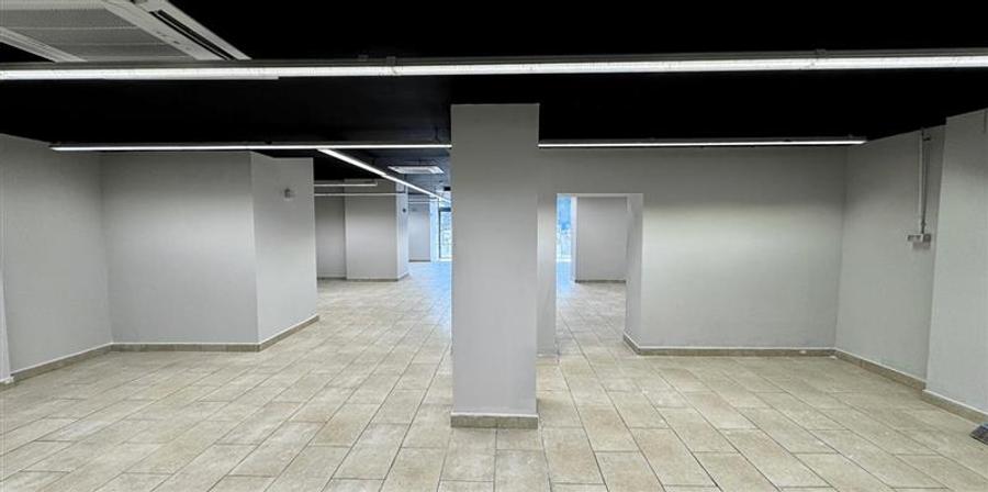 Spațiu comercial, de 330 mp, în Ghencea