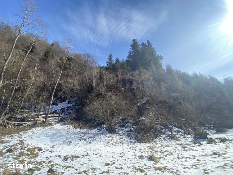 Teren de 2694 mp, în Rucăr