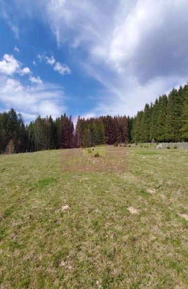 Teren intravilan 2500 mp in Valea Doftanei - 6