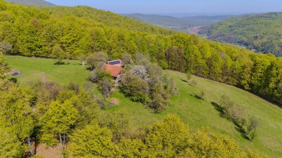Teren Construcții extravilan de 21537 mp, în Poiana Mărului