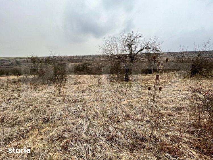 REDUCERE!!! Teren extravilan 5.613 mp, livada, zona Predesti - 5