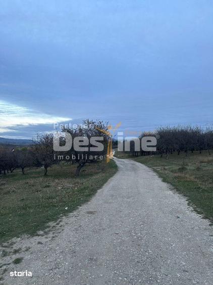 Teren de 34485 mp, în Autogară
