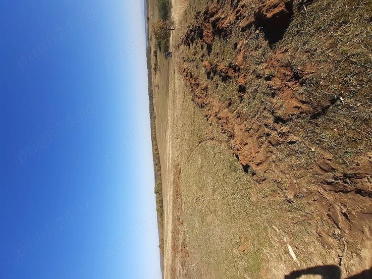 Teren de 175000 mp, în Topla