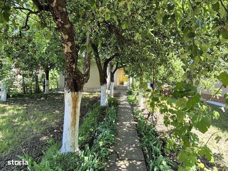 Casă cu 2 camere în Cuza Vodă