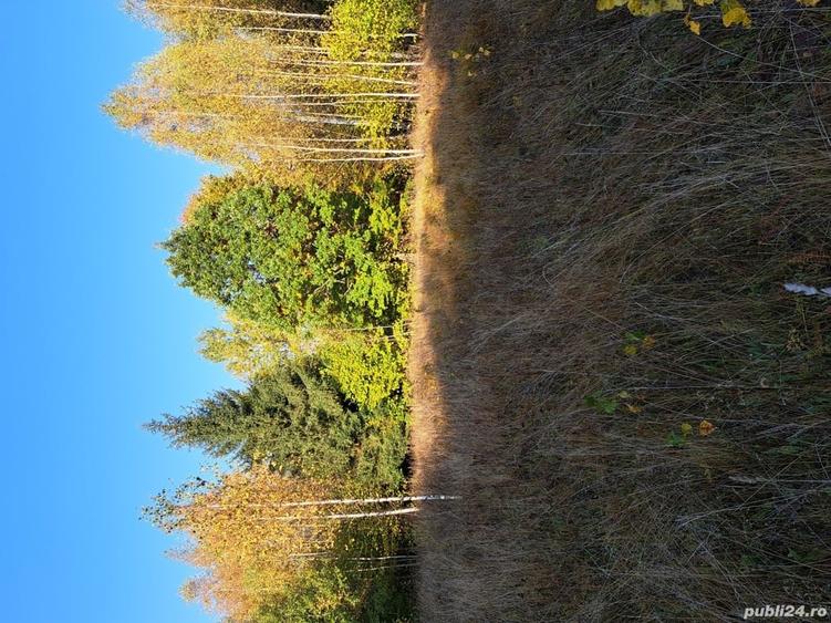 Teren de 2000 mp, în Băile Chirui