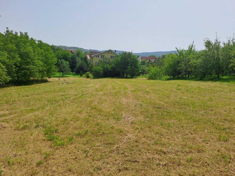 Teren de 4295 mp, în Stana