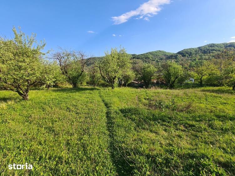 Teren de 950 mp, în Păușești